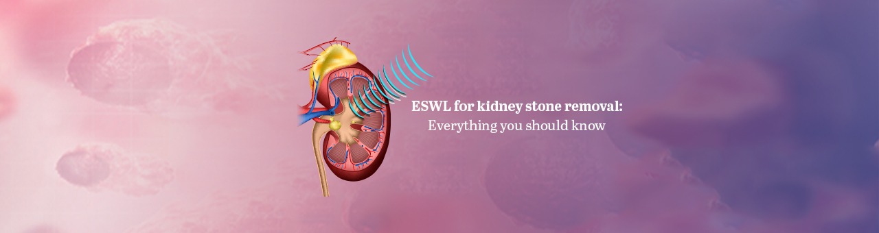ESWL for Kidney Stone Removal: Everything you should know