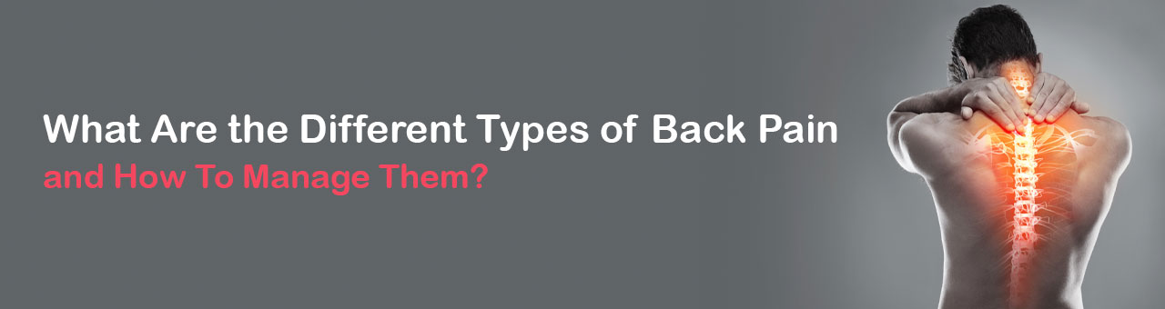 What Are the Different Types of Back Pain and How To Manage Them?